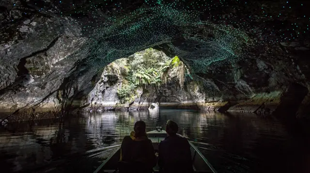 Te Anau glowworm caves: the boat trip explained